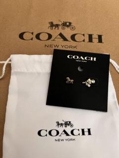 2025年最新】coachピアス新品の人気アイテム - メルカリ