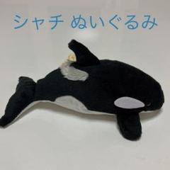 シャチ　ぬいぐるみ