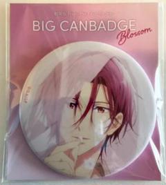 松岡凛 ビッグ缶バッジ blossom Free! Amazon.co.jp: free fs ビッグ缶バッジ 松岡凛 blossom ×9点