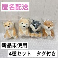 2025年最新】くったり柴犬の人気アイテム - メルカリ