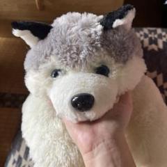 日本製 レトロ 犬 ぬいぐるみ Nick.Nick SANDAI&COPP 2025年最新】レトロ 犬 ぬいぐるみの人気アイテム - メルカリ