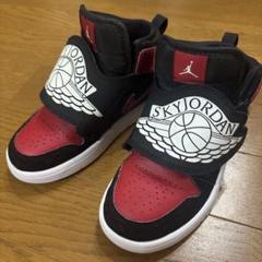 Jordan スカイジョーダン　18センチ 未使用品 SKY JORDAN 18センチ 未使用！ スニーカー
