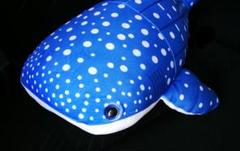 沖縄美ら海水族館限定 ジンベイザメ