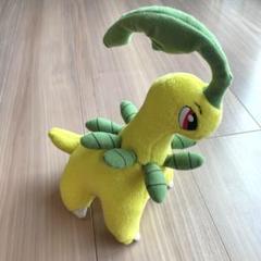 ベイリーフ ぬいぐるみ パキパキ ポケモン TOMY