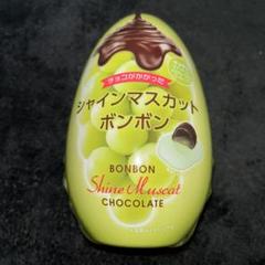 2025年最新】チョコがかかったシャインマスカットボンボンの人気