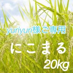 yuriyuri様ご専用 R5年度米 愛媛県産にこまる 天日干し米 20kg