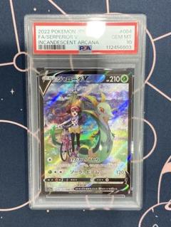 【PSA10】ジャローダV CSRのサムネイル