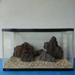ADA 雲山石 大小5個セット レイアウト用品