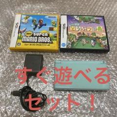 ニンテンドーDSlite 本体　アイスブルー　ソフト付き　ライト