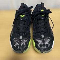 Jordan バスケットボールシューズ ルカ2