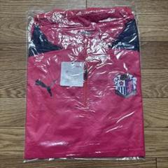 セレッソ大阪 トレーニングウェア ピステ mizunoミズノ size L