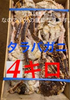 8キロ タラバガニ たらばカニ蟹 生冷凍 たらば蟹 毛蟹よりボリュームありますよ