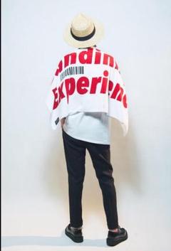 【未使用】SUNDINISTA EXPERIENCE フロアマット チバユウスケ sundinista experience チバユウスケ - メルカリ