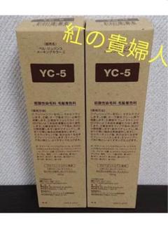 ちづちゃん　新品未使用品ベルジュバンスカラー剤RC-2 PE2 5本セット 2025年最新】ベルジュバンスの人気アイテム - メルカリ