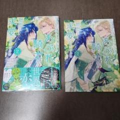 聖女様の逆ハーレムからあぶれた騎士様に熱烈に求愛されている件　2巻