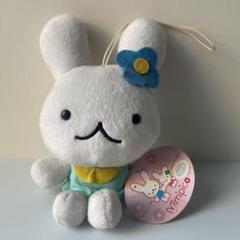 レア 希少 ミミピコ うさぎ サンエックス ぬいぐるみ マスコット