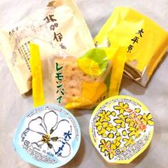 専用です♡べこ餅♡六花亭ゼリー♡レモンパイ♡レモンバター♡メルカリ100発送♡ 専用です♡べこ餅♡六花亭ゼリー♡レモンパイ♡レモンバター