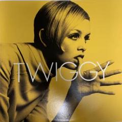 TWIGGY レコード 12 ツイギー 小西康陽 readymade 人気盤