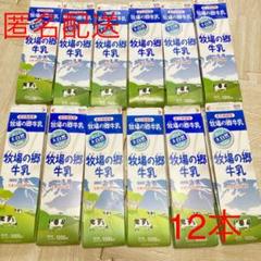 未解体 牛乳パック 12本