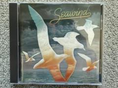 2025年最新】Seawindの人気アイテム - メルカリ