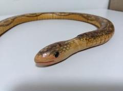 木製 蛇の形 おもちゃ 約60cm