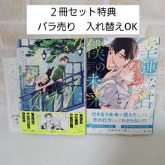 ocha嘘つきなステラ加奈幸運な君と僕の未来商業BLボーイズラブ漫画コミック