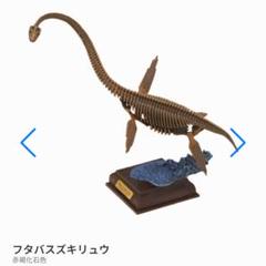 ネイチャーテクニカラー　古生物　フタバスズキリュウ　赤褐化石色　恐竜