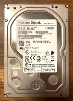WesternDigital HUS726T4TALA6L4 (3.5 4TB)