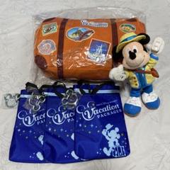 ディズニー　バケーションパッケージ　オリジナルグッズセット バケーションパッケージオリジナルグッズ| キャステル | CASTEL