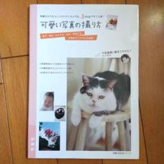 可愛い写真の撮り方