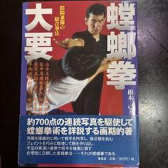 秘宗拳　常松勝　中国武術　通背拳　蟷螂拳　武術　武藝　燕青 秘宗拳 常松勝 中国武術 通背拳 蟷螂拳 武術 武藝 燕青 - メルカリ