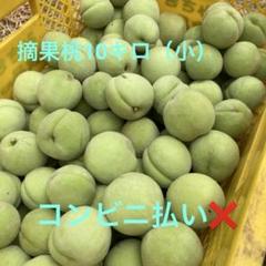 晩星摘果桃 10kg 加工用 347.福島県産若桃摘果桃硬い桃加工用10kg常温発送玉数お任せ