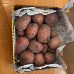 お値下げしました → 新じゃが アンデスレッド2.0kg