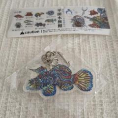 竹島水族館 限定 アクリルキーホルダー ニシキテグリ 1ヶ