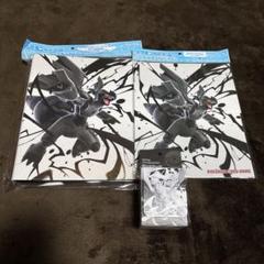 コレクションファイルプレミアム ゼクロム・レシラム ファイル