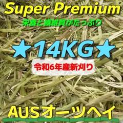 ★オーツ29kg R6新物◼︎スーパープレミアム うさぎ モルモット 牧草 おやつ Amazon | 牧草市場 オーツヘイ 牧草 （スーパープレミアム