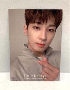 SEVENTEEN セブチ ウォヌ トレカ ode to you SEVENTEEN セブチ ウォヌ ウジ トレカ Ode to You - メルカリ