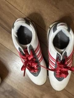 2025年最新】adidas golf シューズ(女性用)の人気アイテム