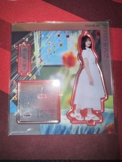 Happy magical tour 正源司陽子 縁日 BIGアクリルスタンド Happy magical tour 正源司陽子 縁日 BIGアクリルスタンド