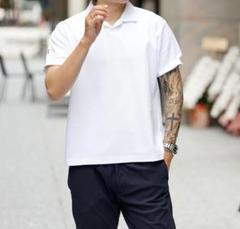【最高級「極」ミラノリブ】Dress Skipper Polo Shirt