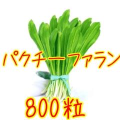 パクチーファラン 800粒