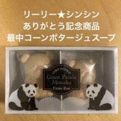 上野パンダファミリー⭐︎リーリーシンシンセット 🐼リーリー＆シンシンのメモリアルふせんBOOKとクリアファイル