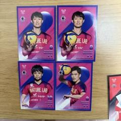 東京グレートベアーズ　Vリーグ　柳田将洋　オリジナルフーディ　メッセージカード 東京グレートベアーズVリーグ柳田将洋オリジナルフーディ