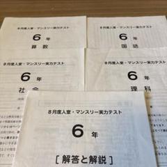 【セール】福袋のファッション通販 マンスリーテスト 2025年最新】sapix 6年の人気アイテム メルカリ - 語学・辞書・学習参考書