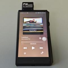 PW Audio Sagittarius QBT処理済
