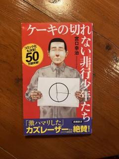 ケーキの切れない非行少年たち 宮口幸治