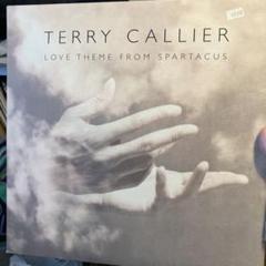 Terry Callier / Love Theme fromレコード 名曲美盤