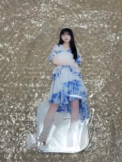 日本最級 乃木坂46 久保史緒里 期別ランダムアクリルスタンド2025 - メルカリ アイドル