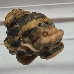 天然 メノウ ロングイ