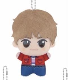 RIIZE ウンソク EUNSEOK ボイスキーリング ヨントン ぬいぐるみ RIIZE WE LITTLE RIIZE ウンソク ソンヨンドリ - メルカリ